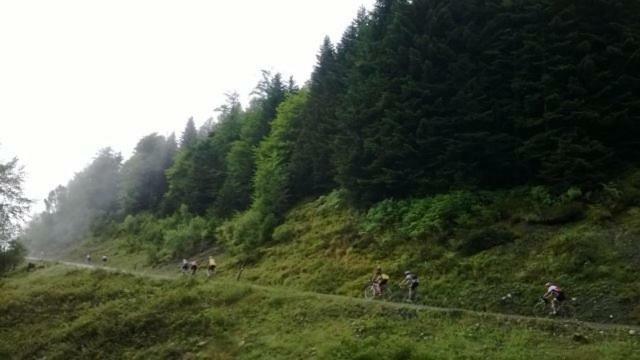 Le Gite Des Mousquetaires Lanne-en-Baretous Zewnętrze zdjęcie