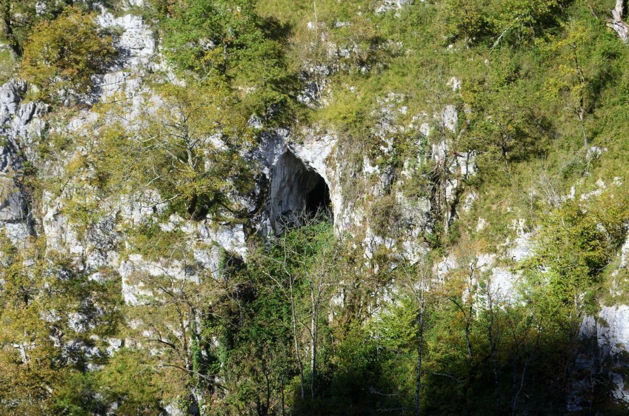 Le Gite Des Mousquetaires Lanne-en-Baretous Zewnętrze zdjęcie
